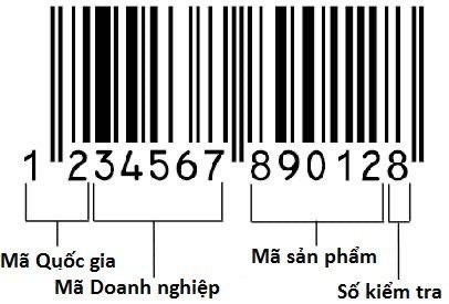 THỦ TỤC ĐĂNG KÝ MÃ SỐ MÃ VẠCH